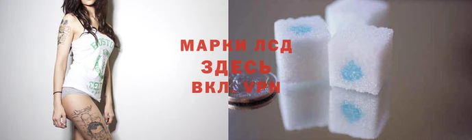 стафф Вяземский