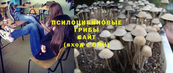 дживик Заволжье