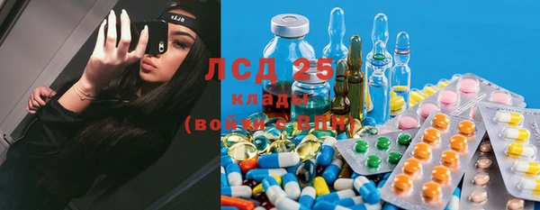 spice Гусев